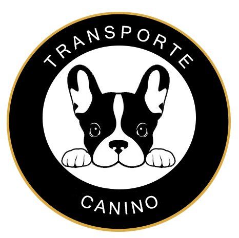 Transporte De Mascotas Traslado Canino En Mexico